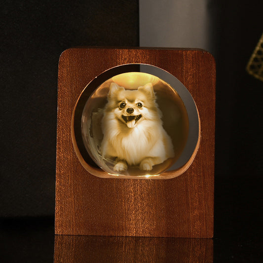 Custom 3D Photo Crystal Ball Ambient Light - Touching Pet Souvenir & Unique Desk Decor