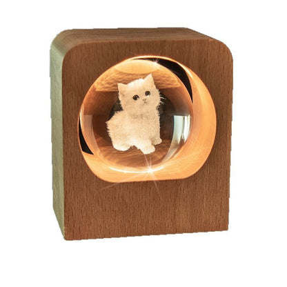 Custom 3D Photo Crystal Ball Ambient Light - Touching Pet Souvenir & Unique Desk Decor